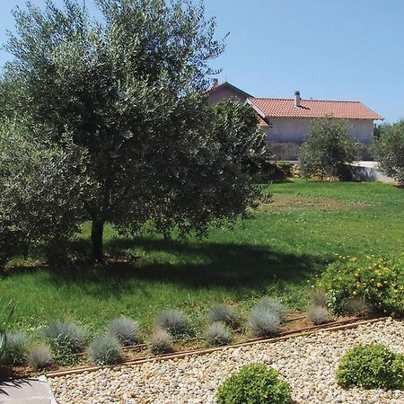 1 Bedroom Cozy Apartment In Bibinje Exterior foto